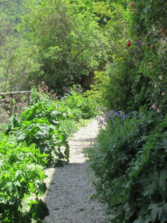 La Ferme De La Condamine Bed & Breakfast Saint-Andre-de-Rosans Exterior photo